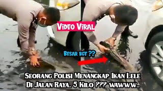 Polisi Lalu Lintas Tangkap Ikan Lele Besar Di Jalan Raya.. Banjir Semarang..