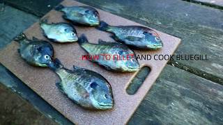 HOW TO FILLET BLUEGILL BONELESS SKINLESS(AND COOK)