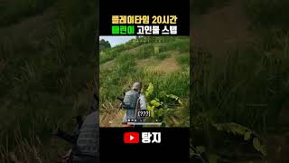 배린이 고인물 스텝