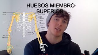 HUESOS DE LA PARTE SUPERIOR- Fácil y dinámico.