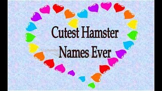 Cute Hamster Names!