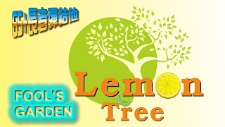 《養生彈》Lemon Tree