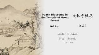 真人 童声朗读 汉英双语 大林寺桃花   白居易 Peach Blossoms in the Temple of Great Forest