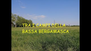 TRA I CAMPI DELLA BASSA BERGAMASCA