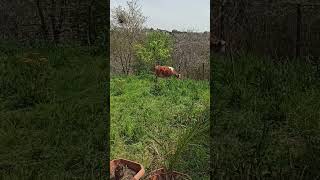 Filiz Beni Düşürdü Az Daha Omuzun Kırılıyordu