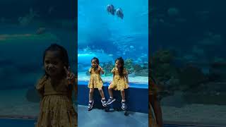 Oceanarium #shorts #twins #Manilaoceanpark