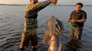 Pesca y Cocina de Tilapias GIGANTES