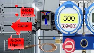 Presiones del R404A en Nevera Funcionamiento y Partes del circuito de refrigeración para congelación