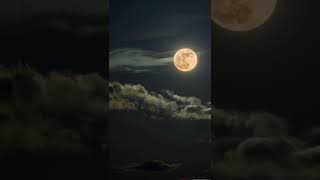 Talking To The Moon || lonely night with moon