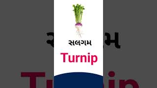 Turnip meaning in Gujarati +- English dictionary