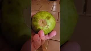 Whole guava