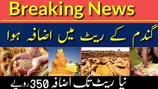 Gandam ka rate Pakistan 2022||wheat price today||Gundam ka rate||گندم کا ریٹ 2022