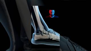 Bones 3D Animation Video #shorts #reels