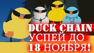 DUCK CHAIN УСПЕЙ СДЕЛАТЬ ДО 18 НОЯБРЯ ✔️ Layer2 на Ton