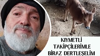 Kıymetli Takipçilerimle Biraz Dertleşelim