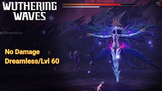 [Wuthering Waves] Dreamless boss fight | Was my damage lacking ??🤷‍♂️ | No Hit Run | 2024