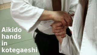 Aikido hand movements in KOTEGAESHI, by Stefan Stenudd in 2009