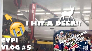 CVPI Vlog #5 - I HIT A DEER!