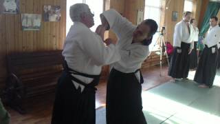 AikidoSeminar_11022012071.MP4