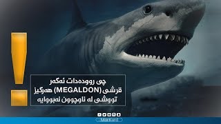 چی روودەدات ئەگەر قرشی (MEGALDON) ھەرگیز تووشی لە ناوچوون نەبووایە؟!