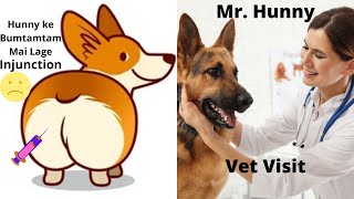 Vet Vlog - Hunny Goes To The Vet, Dog| GSD| Vet Dog #GermanShepherd #vet #doglover