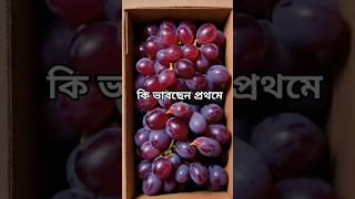 কি ভাবছেন প্রথমে #phonk #music #beats #remix #dnb #youtubeshorts #fruit