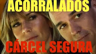 PEDRO SÁNCHEZ , DIMISIÓN ?? Y BEGOÑA GÓMEZ ACORRALADOS JUSTICIA CÁRCEL SEGURA ‼️‼️