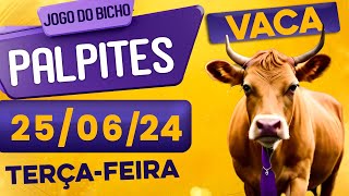 PALPITE DO DIA 25/06/2024 - JOGO DO BICHO 🍀 TODAS AS LOTERIAS 🍀