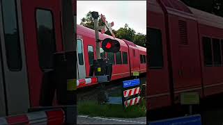 RS31 ➡️ Zutphen in Winterswijk #shorts #train #trainspotting