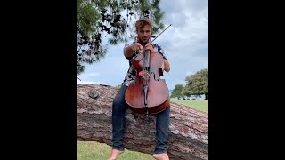 Cello Shreds - "Stay away from that tree kids"