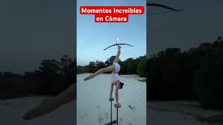 Momentos Increíbles en Cámara