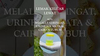 presentase lemak keluar #viral #shorts #short #health #diet