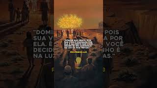 Mentalidade - #shorts #mentalidade #motivação #proverbios