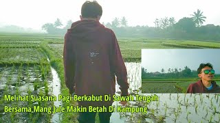 Melihat Suasana Pagi Berkabut Tengah Sawah, Bersama Mang Jale Makin Betah Di Kampung