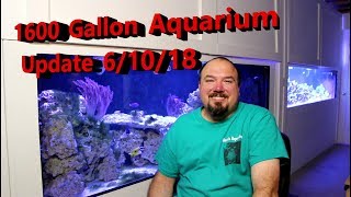 1600 Gallon Aquarium Update 6/10/18