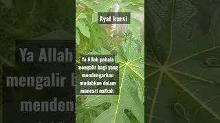 ayat kursi merdu #murrotal#shortsviral#fypシ゚