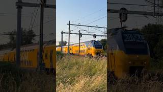 #treinleven virm komt aan in Vlissingen