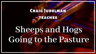 Sheeps and Hogs Going to the Pasture: Fiddle Lesson with Craig Judelman