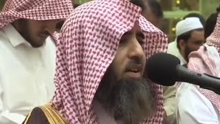 محمد اللحيدان || تلاوة خاشعة بديعة🤍 ﴿..يَرْجُونَ تِجَارَةً لَنْ تَبُورَ﴾