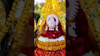 khatu shyam new bhajan #viral #trending #viral video