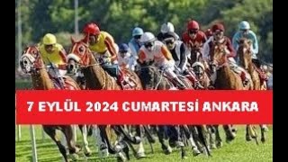 7 EYLÜL 2024 CUMARTESİ ANKARA AT YARIŞI TAHMİNLERİ VE YORUMLARI