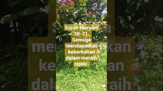 surah Maryam merdu semoga mendapatkan keberkahan #fypシ゚viral #ceramah1menitmenyentuhhati