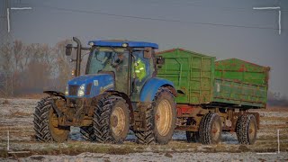 Jeleń Bokiem!! Wywóz Obornika w Pryzme 2021 ☆ John Deere 6195R & New Holland T6.165 ☆ AGRO Wiesniak™