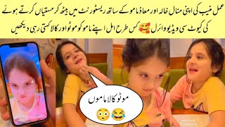 Amal Muneeb Having Fun With Minal Khala And Maaz Mamu 😂 | Amal Muneeb Enjoying With #minalkhan