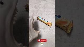 Shark puppet eats Alpenlibe Candy