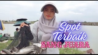 SPOT TERBAIK ‼️ SANG JUARA