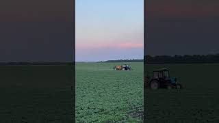 19.06.2024 #farming трактористы #фермер #сельскоехозяйство