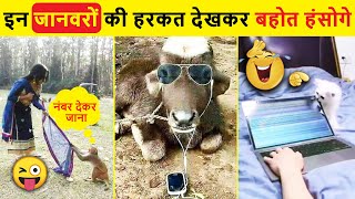 🤣 दुःख दर्द कष्ट फिर भी ये जानवर मस्त 😜 Funny Animals Video 2022 | Funniest Animals | Animal Moments