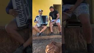 🎵 Minha Riqueza - Edyr Vaqueiro e Júnior Vianna. A música que surgiu no curral da Fazenda Vianna