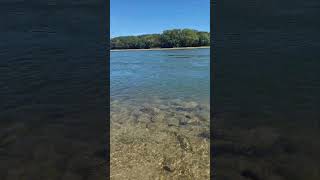 Endlich kann man wieder schön in den Rhein #baden #rhein #wasser #shorts #short